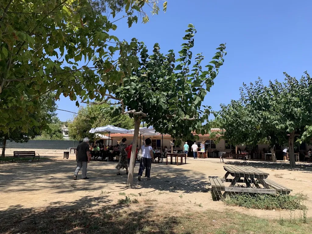 GR8 M8 4EVER_Restaurant l'Arròs de Ladis Alcalà_Deltebre_review