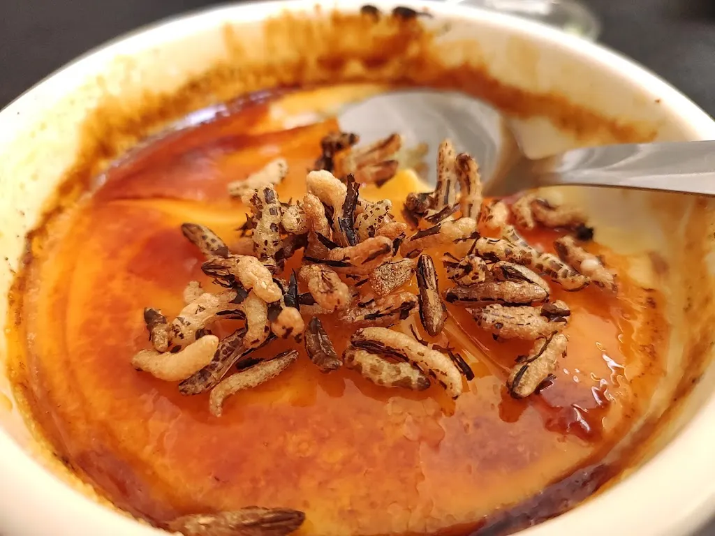 szandra peev_Restaurant Tramontano_Deltebre_review