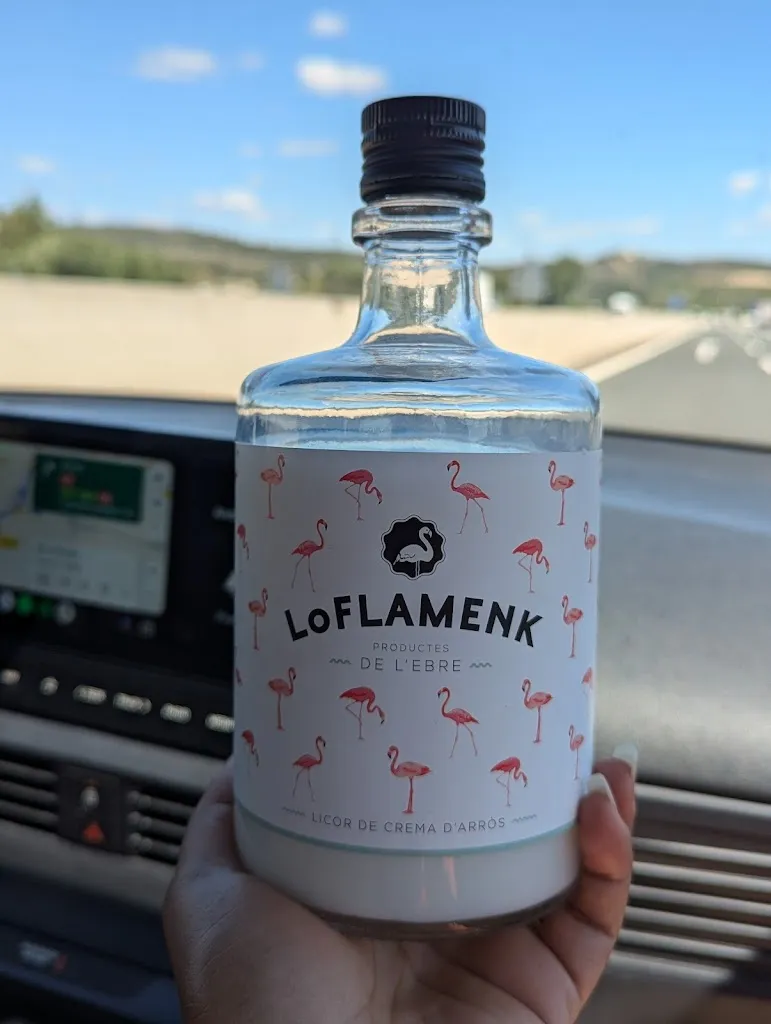 Riva Heath_Delta Hotel_Deltebre_review