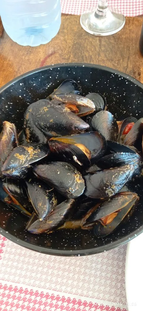 R G M_Els Arcs_Deltebre_review