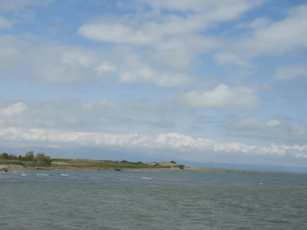 Sean Humby_Darwing Beach- Deltanatur_Deltebre_recensione