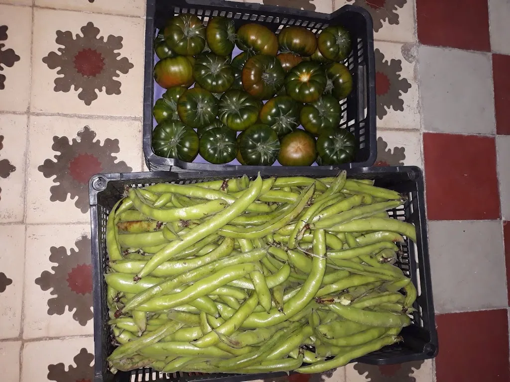 Menu_Cafe Bar Los Chiveros_Lubrín_image_8