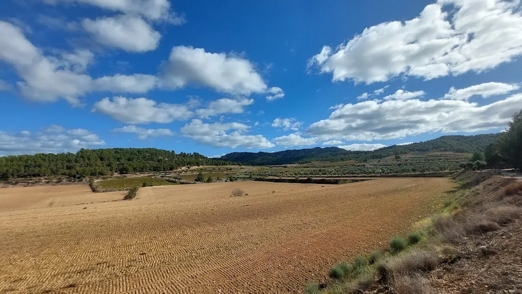 Gandesa_Gandesa_slider_image_2