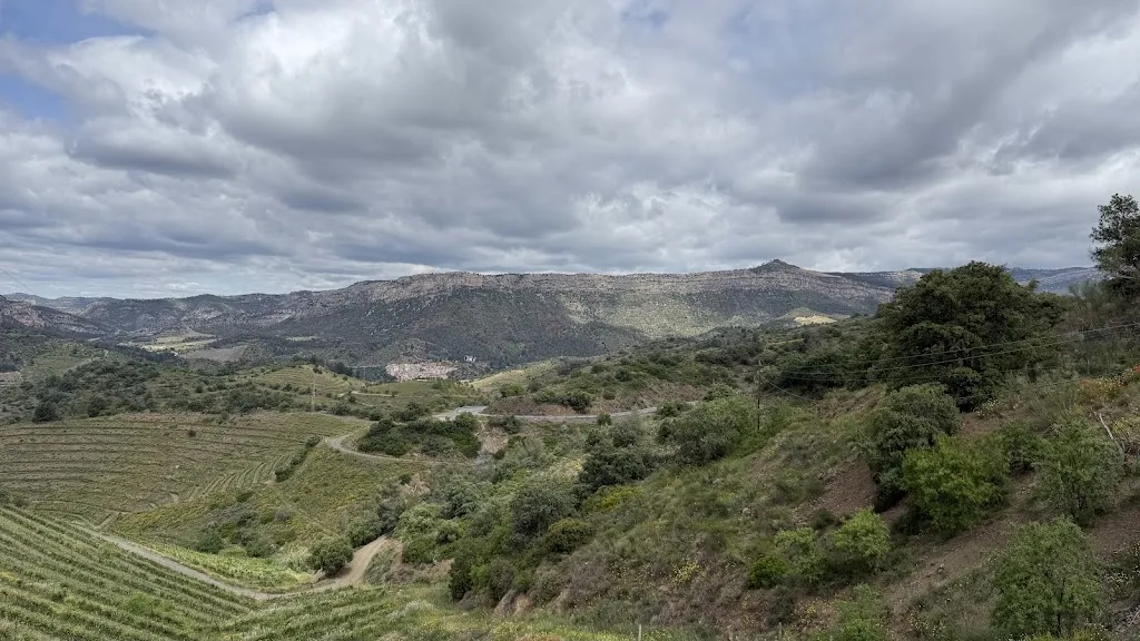 Alex Granas_Restaurant Amics_Gratallops_review