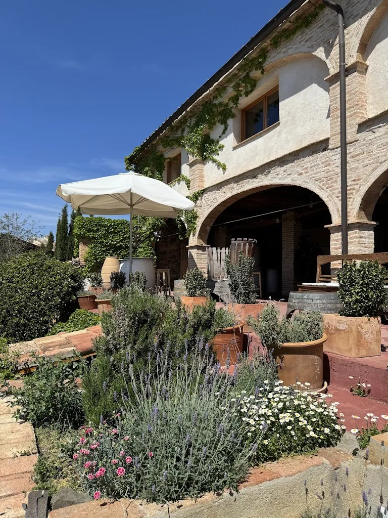 Asha Peddada_Celler Clos Figueras & Restaurant Les Figueres_Gratallops_review