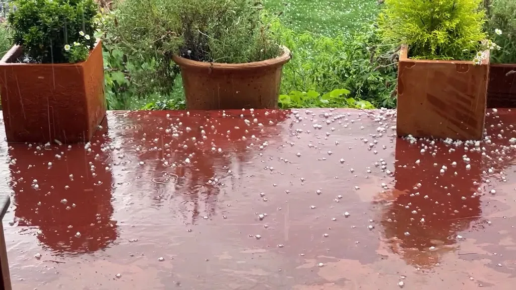 Celler Clos Figueras & Restaurant Les Figueres_Gratallops_slider_image_2