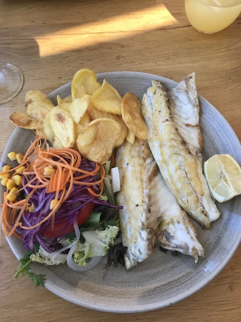 Vanda Varga_BAR RESTAURANTE BON BAR_Figuera_review