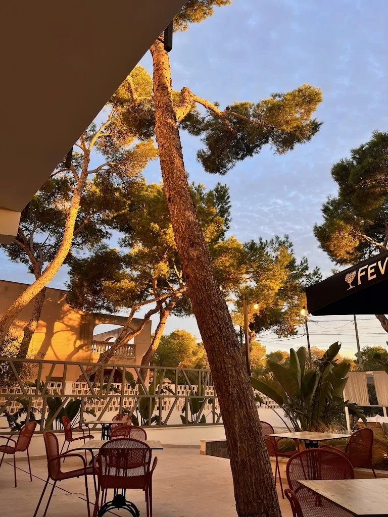 Hanna Kennedy_Bistro Ventura_Figuera_review