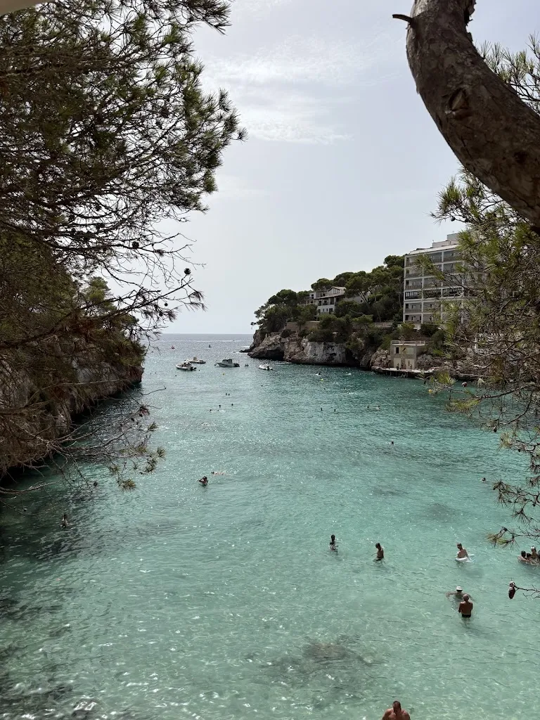 Greta Ornat_Cafè Drac_Figuera_review