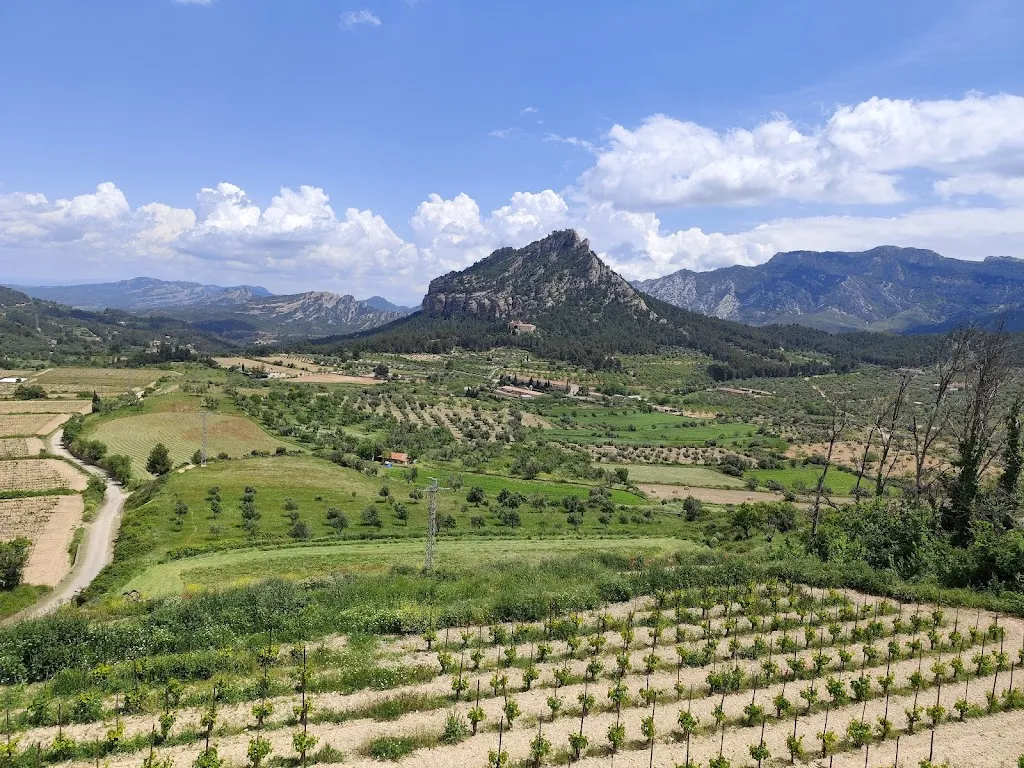 Can Parrado_Horta de Sant Joan_slider_image_3