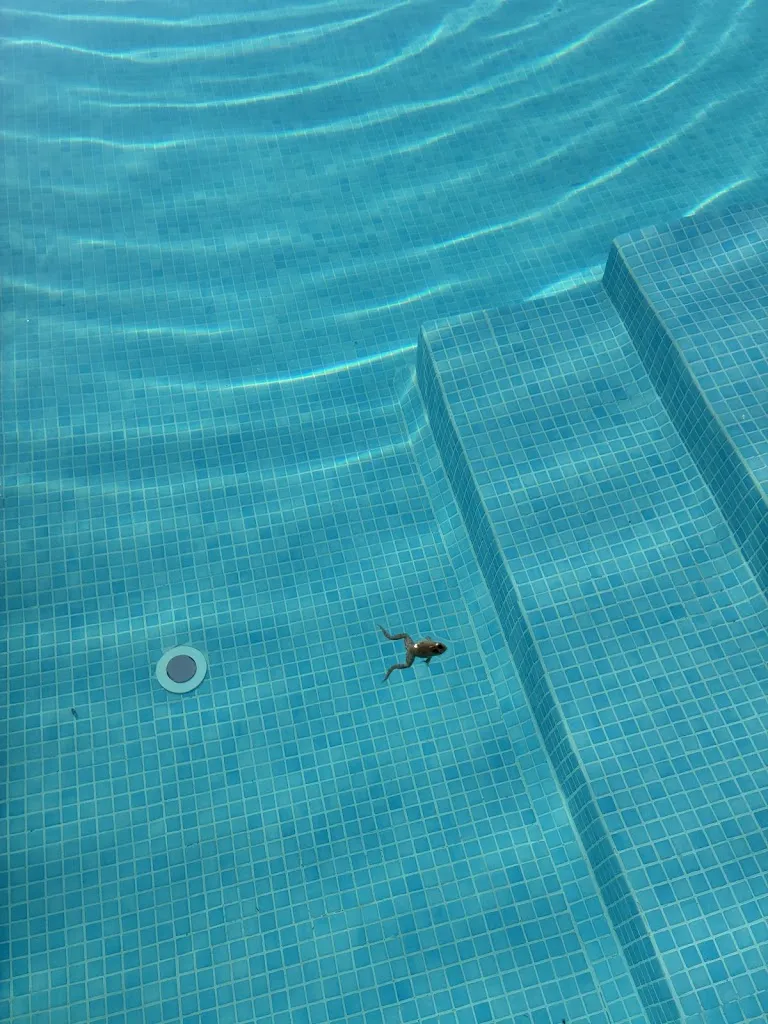 Miguel Martínez_Mas del Cigarrer_Horta de Sant Joan_review