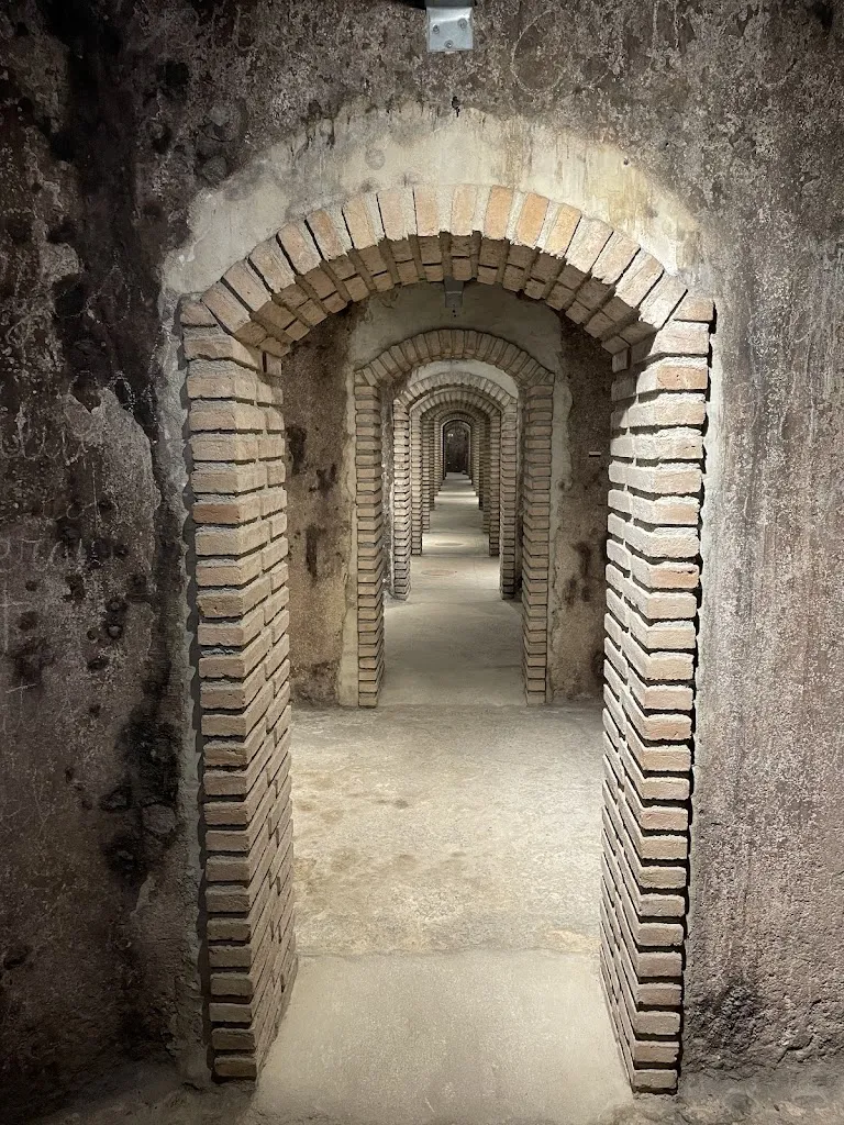 Andrew Booth_Celler Masroig_Masroig_review