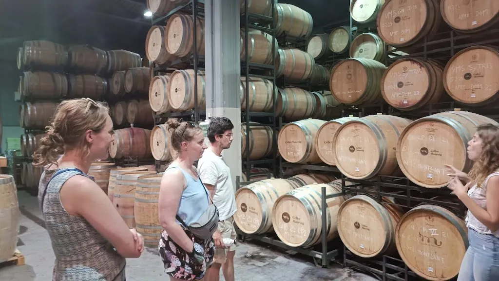 Julie Van der Aa_Celler Masroig_Masroig_review