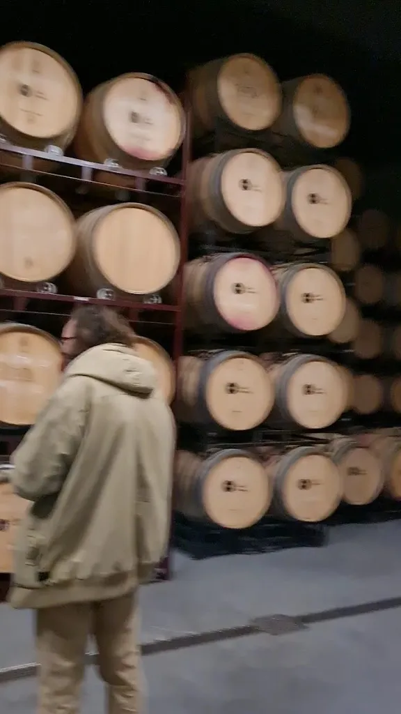 Celler Masroig_Masroig_slider_image_2