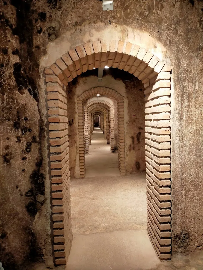 Celler Masroig_Masroig_slider_image_3