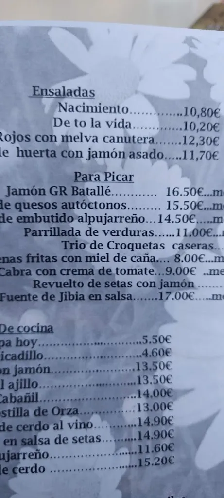 Menu_Restaurante El Nacimiento_Laujar de Andarax_image_4