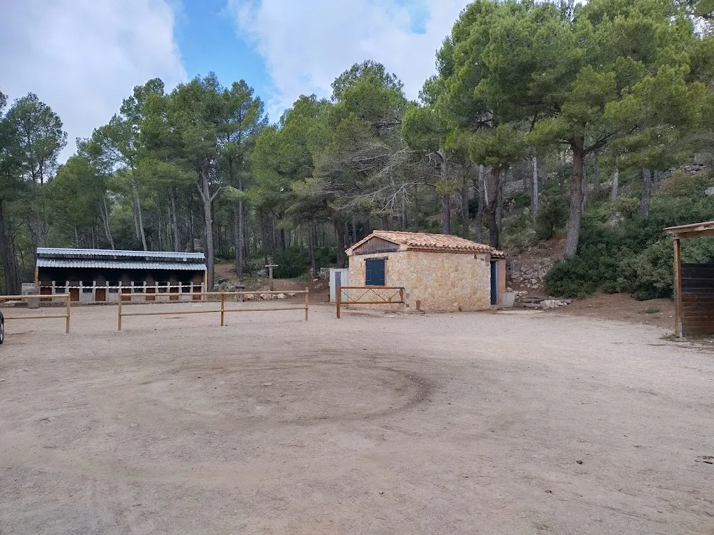 Pitiflauticus Yomismo_Àrea recreativa forestal del Montmell_Montmell_review