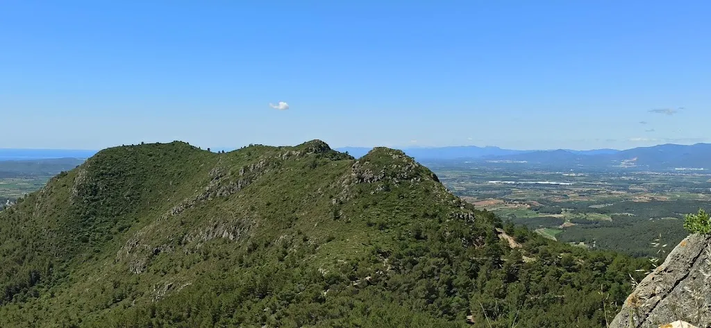 Marisa Acuña Caffarella_Àrea recreativa forestal del Montmell_Montmell_review