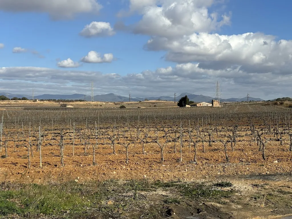 Doris Halbert_Coll de Nulles_Nulles_review