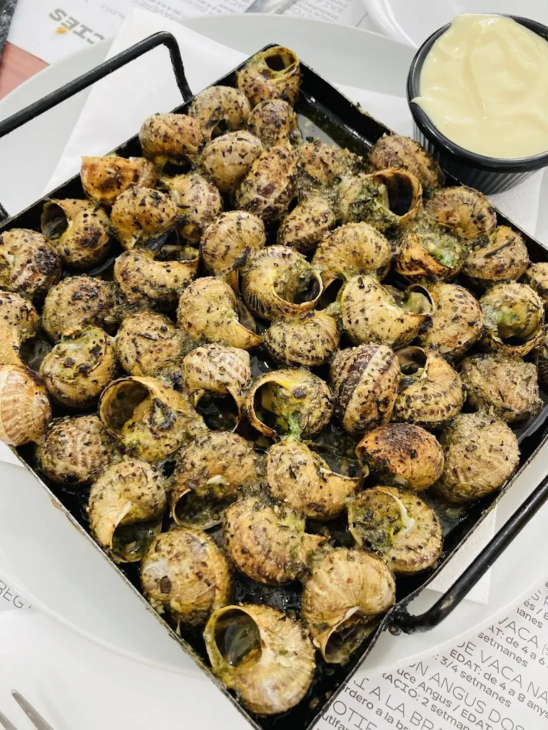 Gemma Roig Rius_Casal Rierenc_Nou de Gaià_review