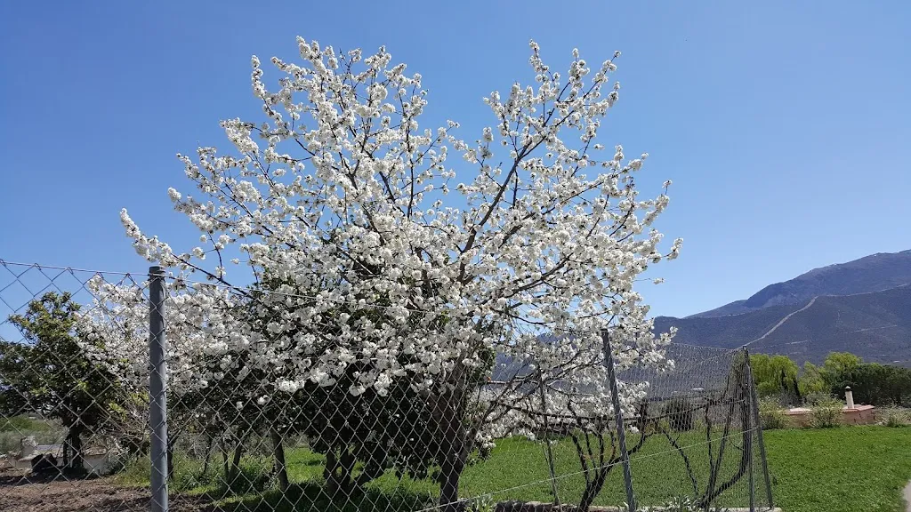 Nuevo Andarax_Laujar de Andarax_slider_image_2