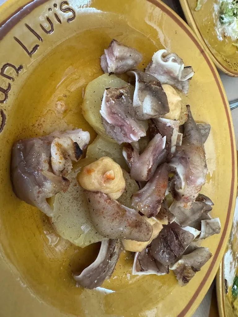 Xavier Alins Rodríguez_Meson braseria Can Lluís_Pinell de Brai_recensione