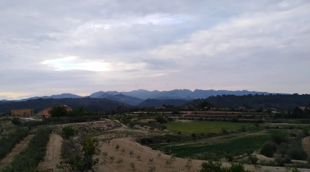 La Pianola_Pinell de Brai_slider_image_3