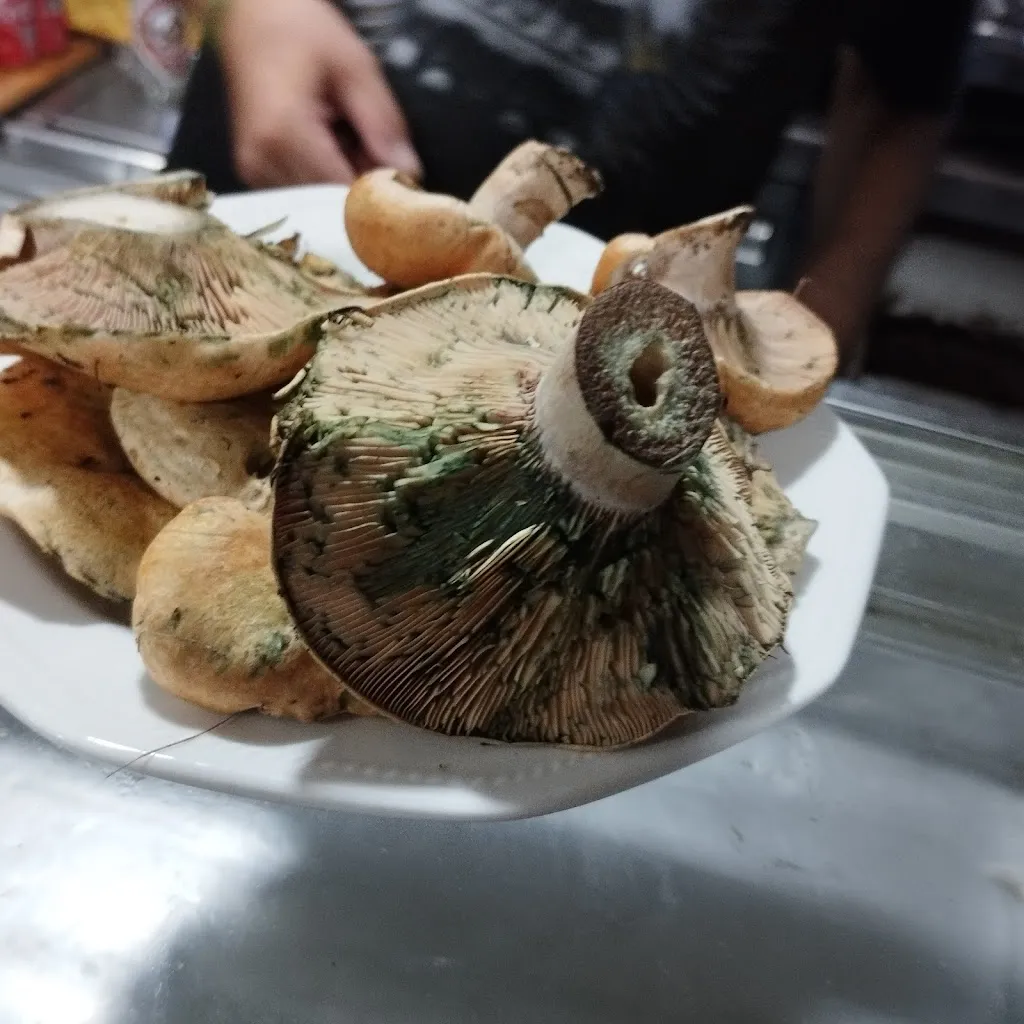 Menu_La Tasca_Pobla de Montornès_immagine_6