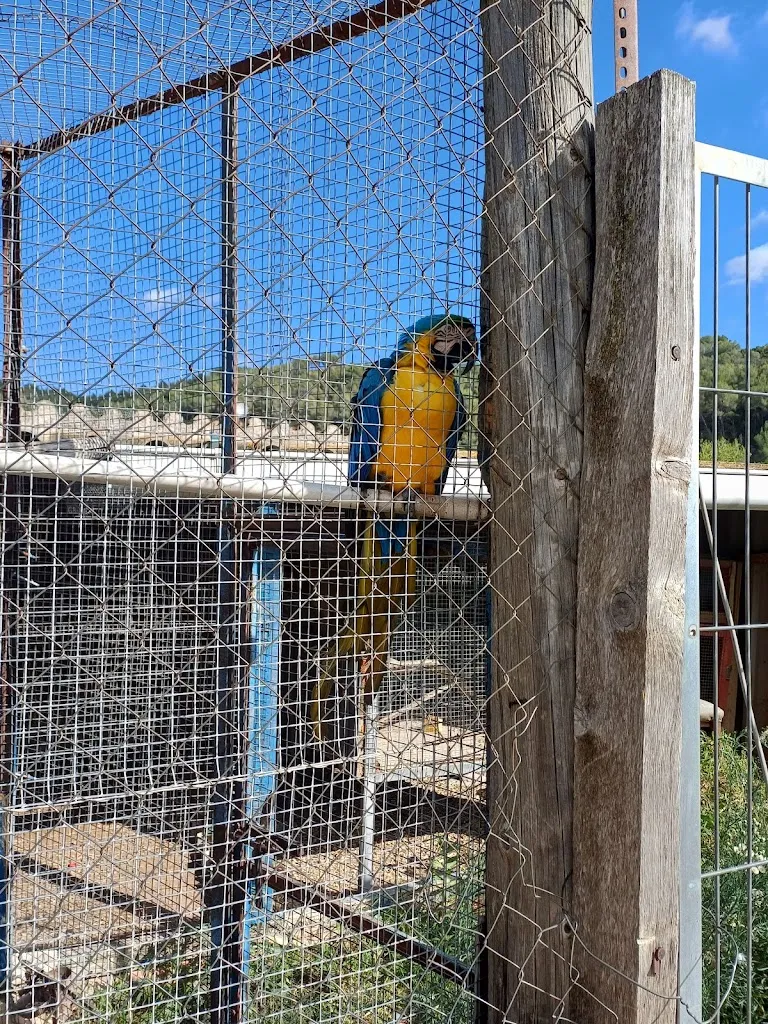 Maria Funes_Sort de nit_Pont dArmentera_review