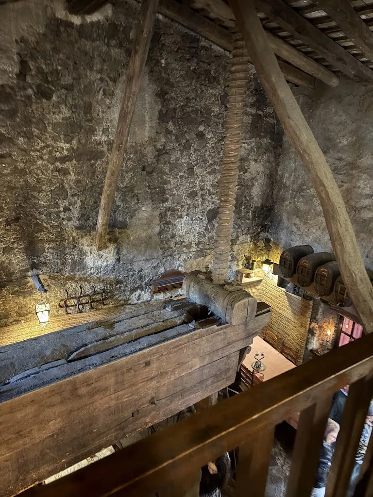 Alvarez Cardenas_Cal Ganxo_Puigpelat_recensione