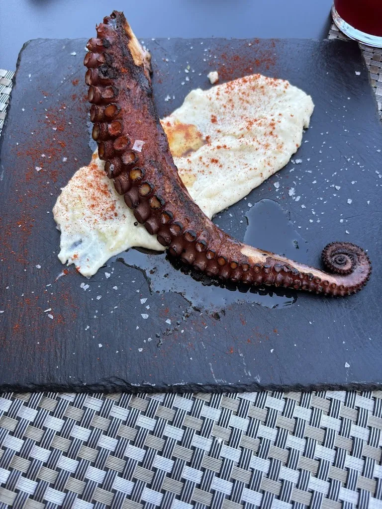 Veronica Gimenez Gutierrez_Moss Prades_Prades_review