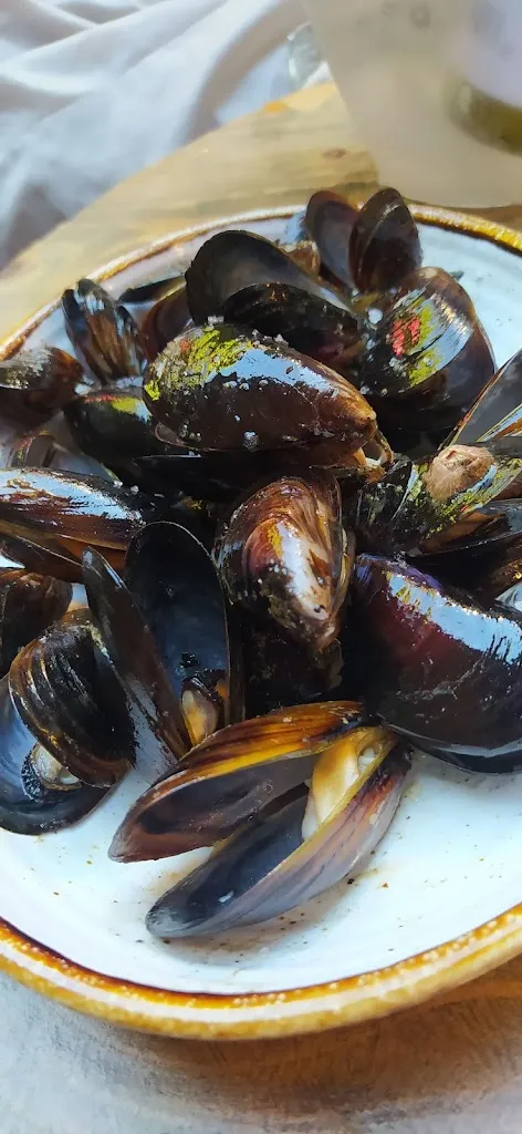 Menu_Vermuts Rofes_Reus_image_5