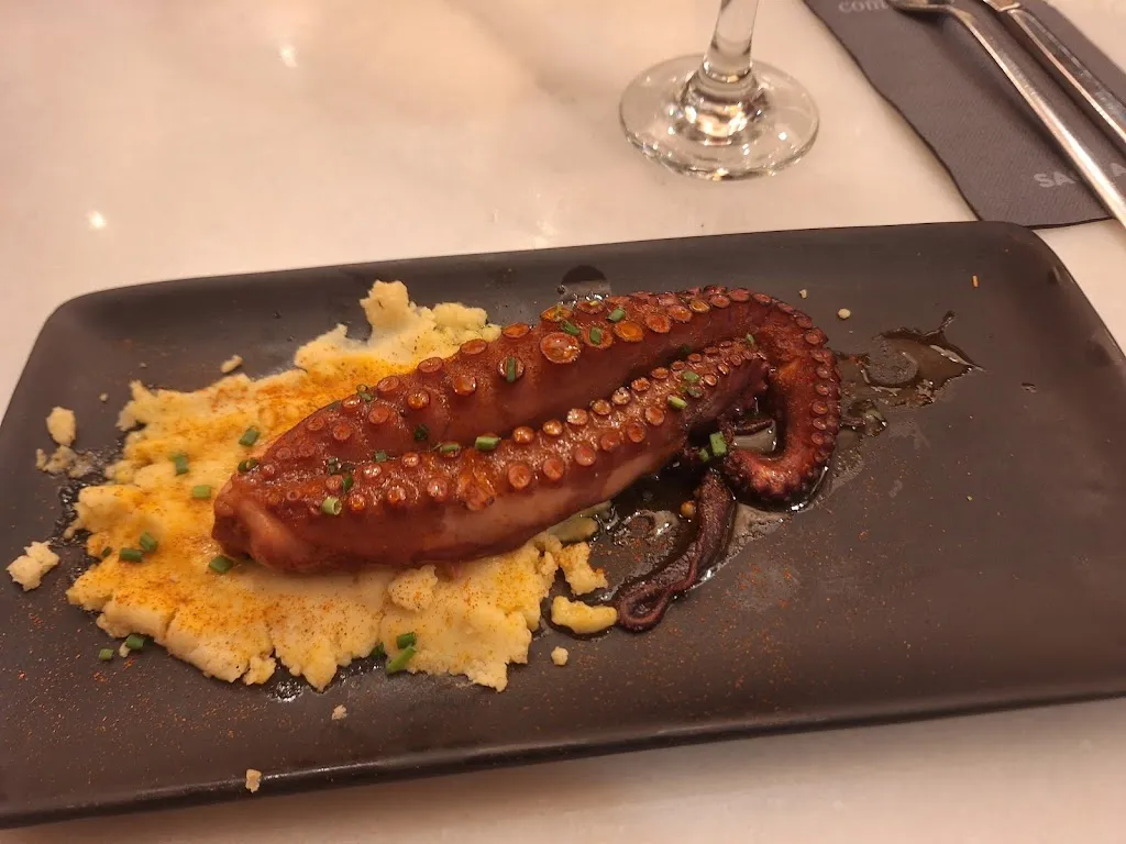 Saona Reus_Reus_slider_image_3