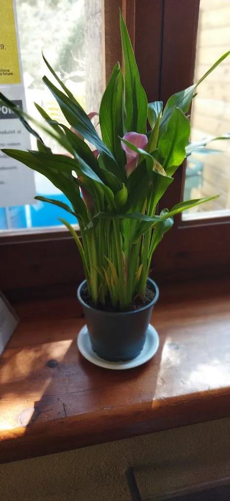 Enrique Escriba_Restaurant les Palmeres_Sant Carles de la Ràpita_review