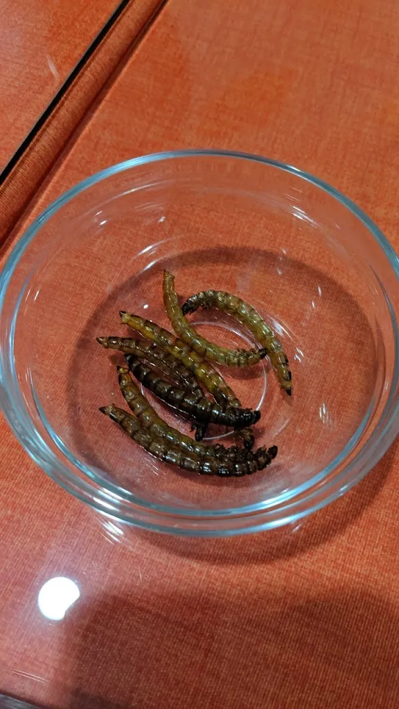 Menu_Sabor A México_Sant Carles de la Ràpita_image_9