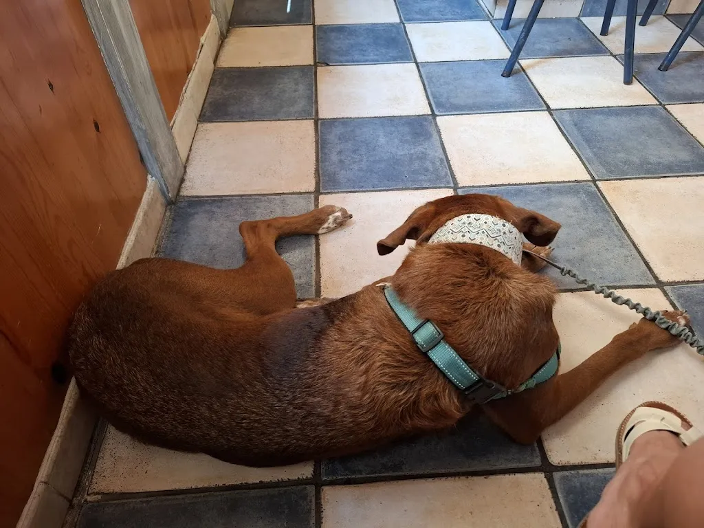 Laia Pons Sedó_L'Eixam_Sant Carles de la Ràpita_review