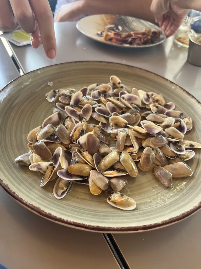 manuel marquez_Alamar Bar_Sant Carles de la Ràpita_review