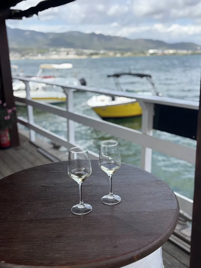 HELECHO AISLADO_Musclarium_Sant Carles de la Ràpita_review