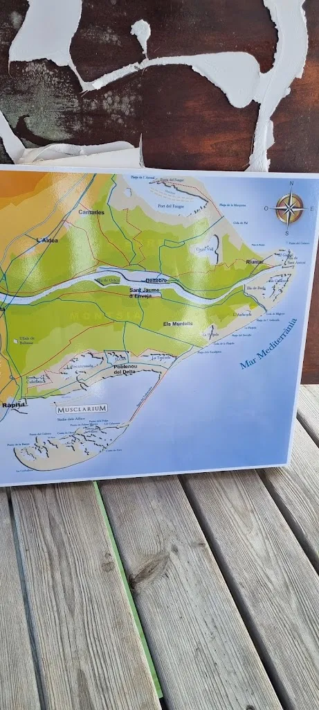 Thomas L_Musclarium_Sant Carles de la Ràpita_review