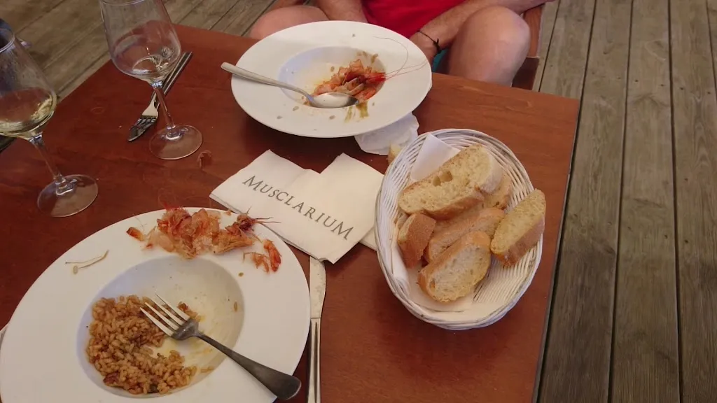 Musclarium_Sant Carles de la Ràpita_slider_image_2