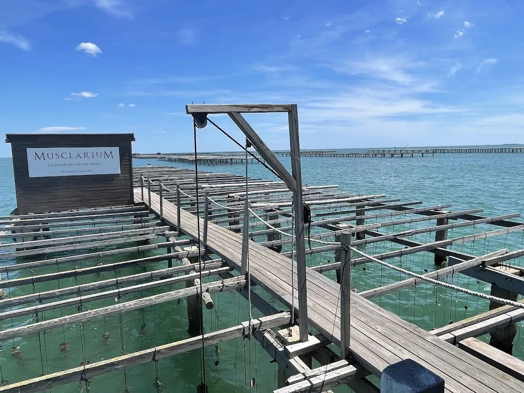 Musclarium_Sant Carles de la Ràpita_slider_image_3