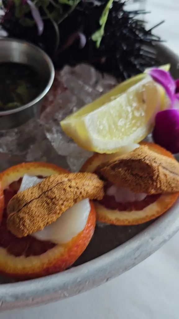 Santa Barbara FisHouse_Santa Bárbara_slider_image_2