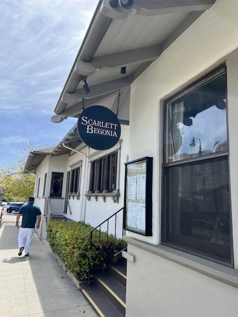 Lara_Scarlett Begonia_Santa Bárbara_review