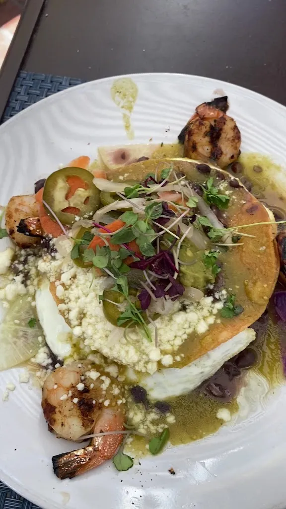 Scarlett Begonia_Santa Bárbara_slider_image_2