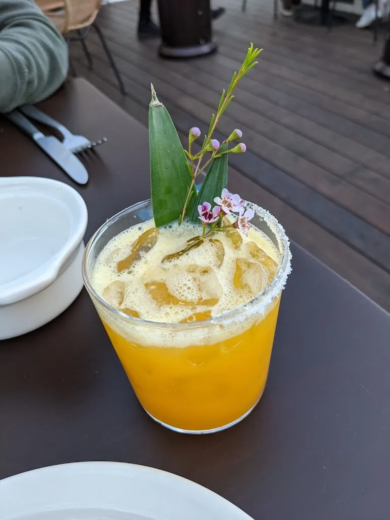 Menu_Paloma_Santa Bárbara_immagine_8