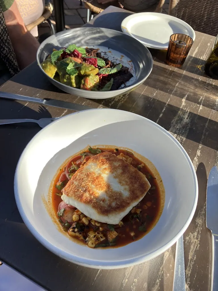 Jean Reardon_Paloma_Santa Bárbara_recensione