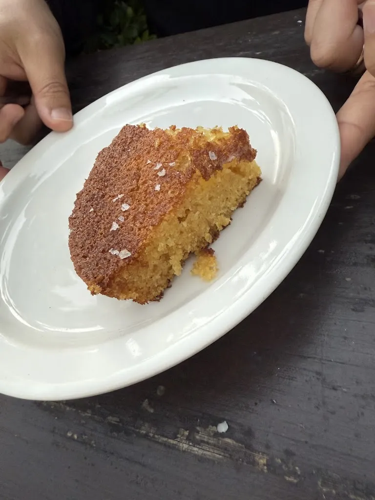 Steven Samrock_Paloma_Santa Bárbara_recensione