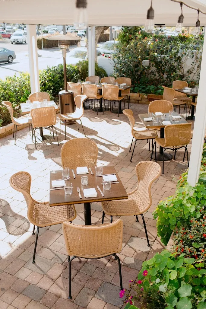 Paloma_Santa Bárbara_slider_image_1