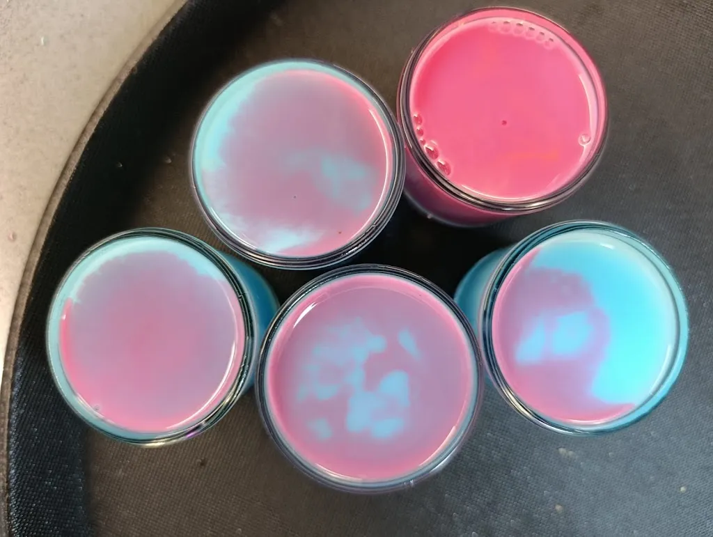 Marina Martínez_Bar Restaurante Canya Aquí!_Secuita_review