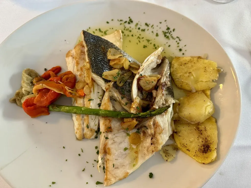 ulle_Vadegust_Tarragona_review